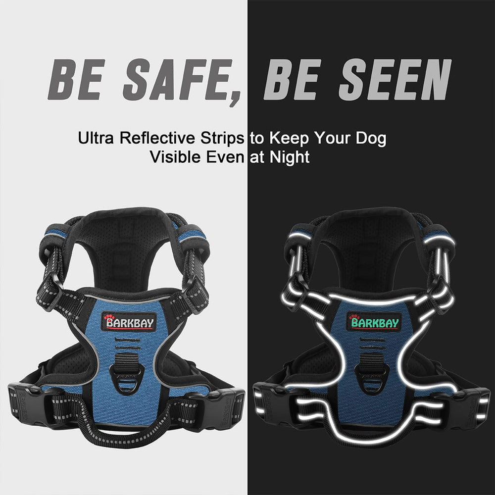 Two leash attachment points on back and chest offer versatile control.