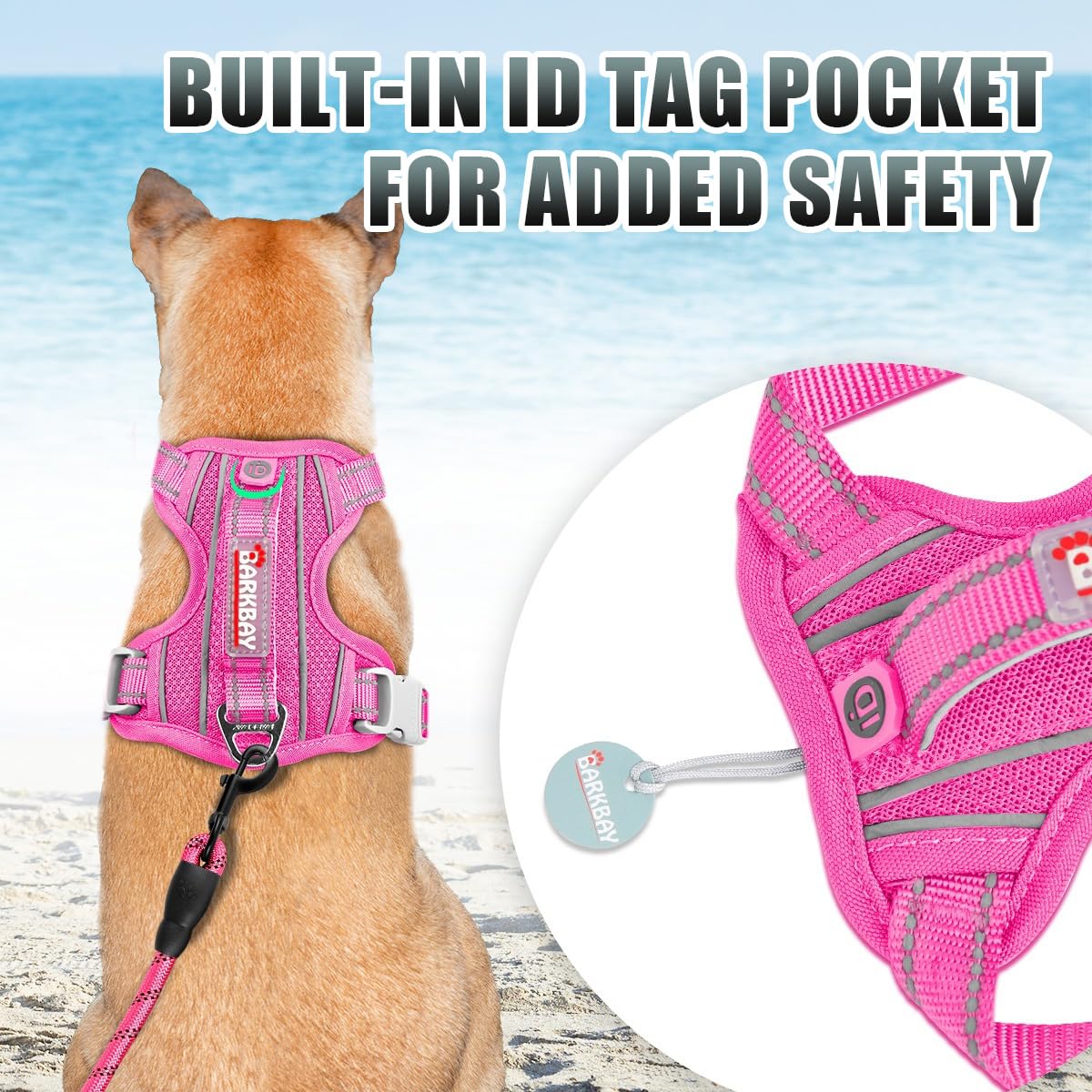 BARKBAY harness with reflective strips for night or dawn visibility