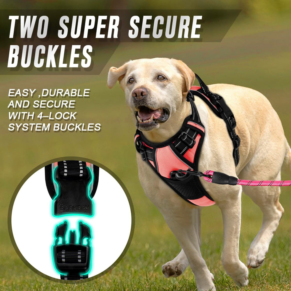 BARKBAY dual leash attachments on back and chest for versatility