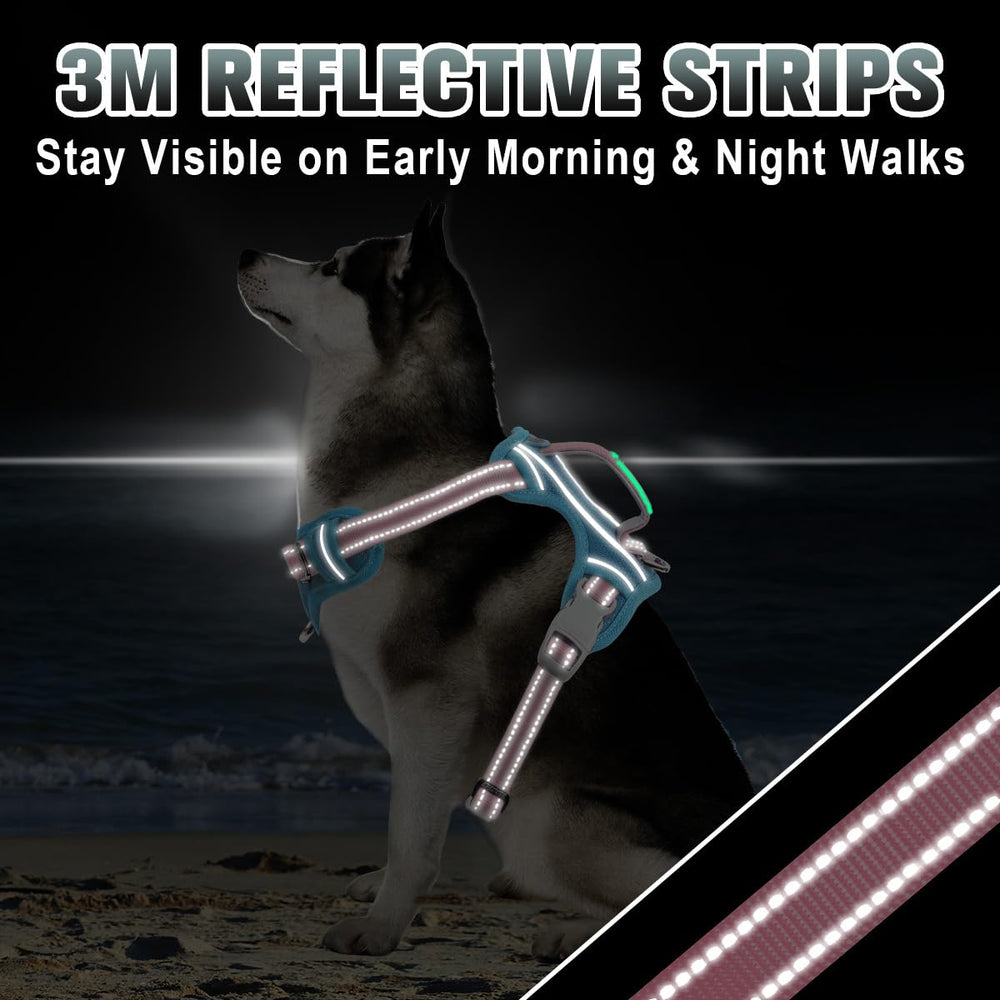 BARKBAY easy-control handle helps guide your dog safely.