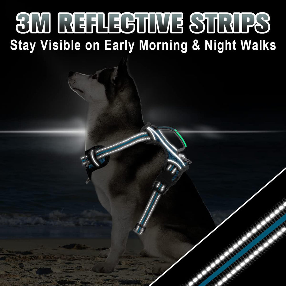 BARKBAY easy-on-off design with 4-point adjustable fit.
