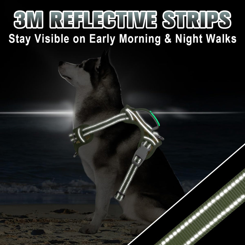 BARKBAY easy-on design with four-point adjustment for a snug fit.