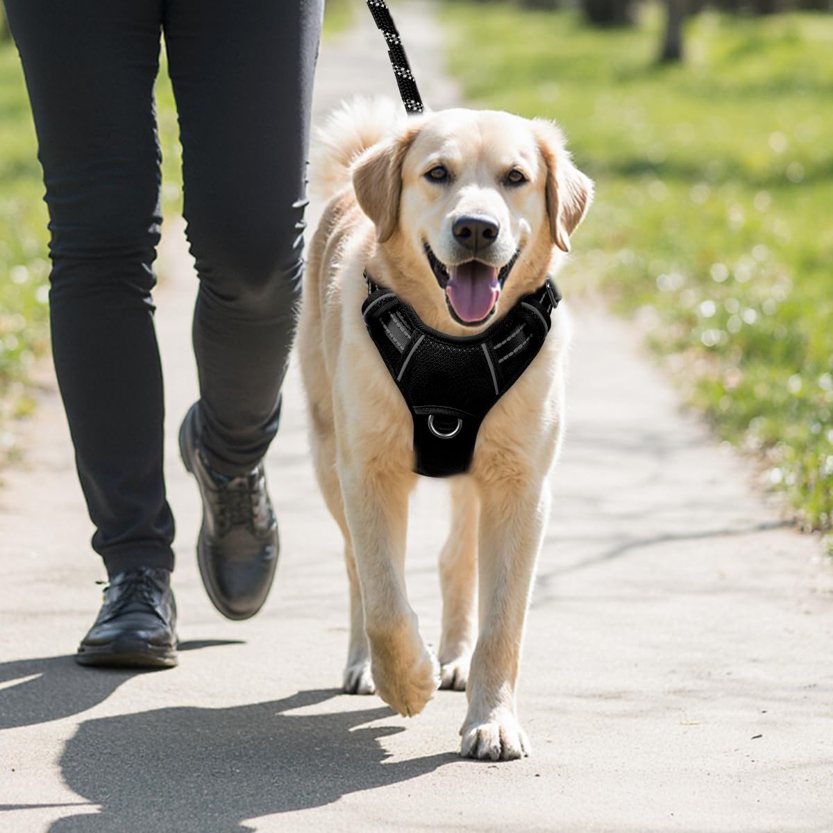 Easy on/off design makes quick leash changes a breeze.