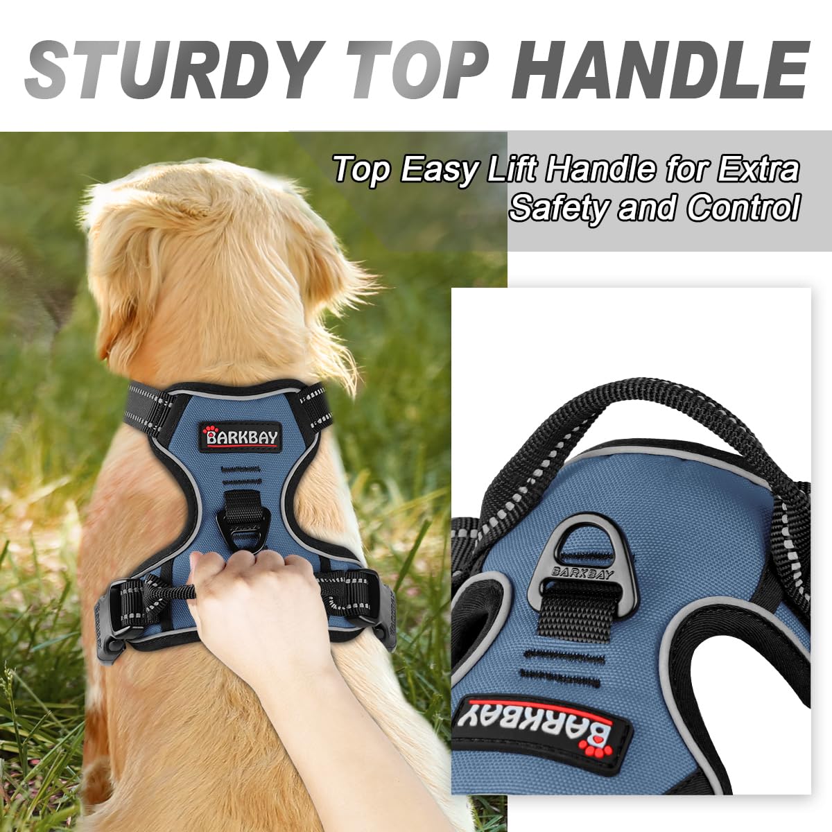 BARKBAY four adjustment points for a near-custom fit