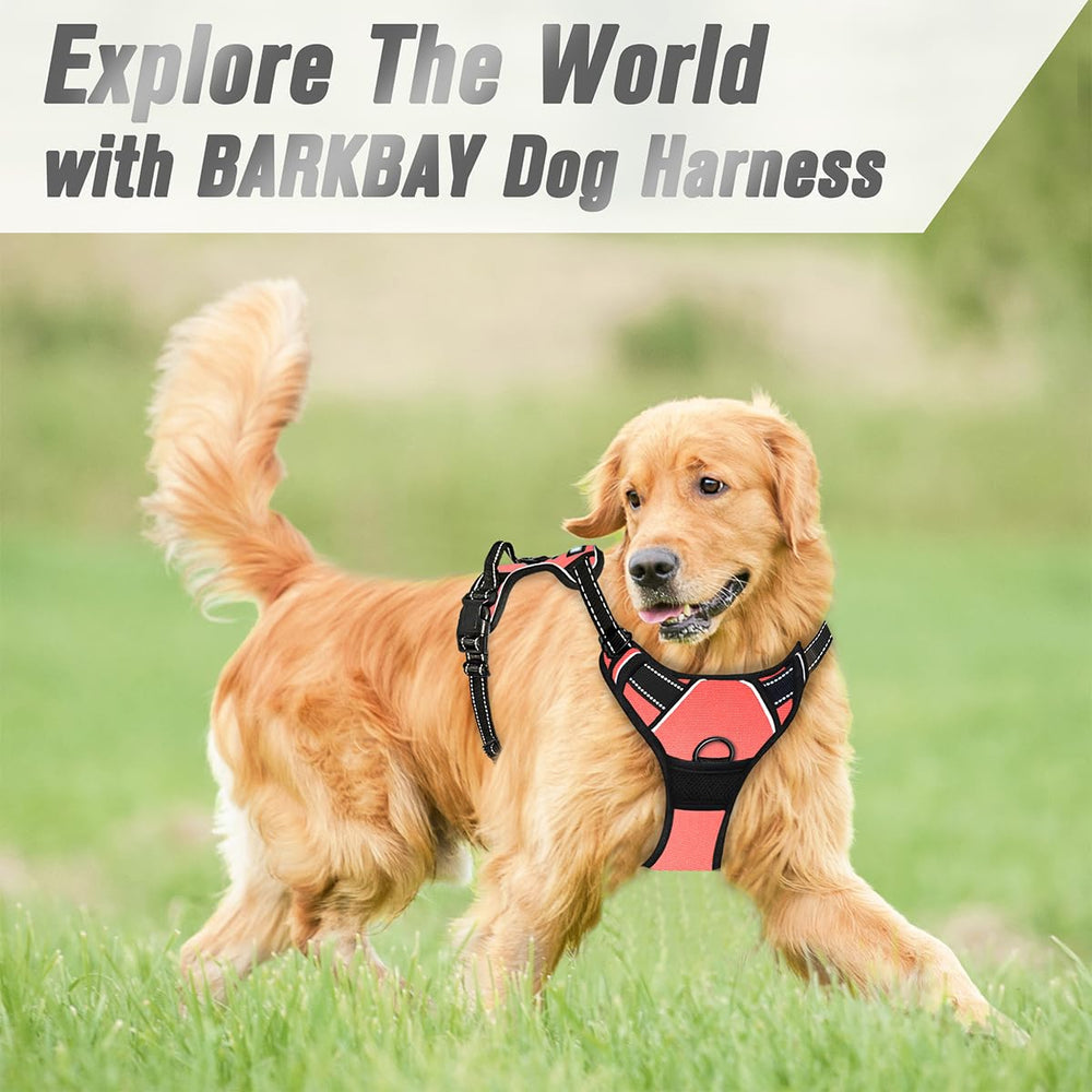 BARKBAY four-point adjustable harness for a secure fit
