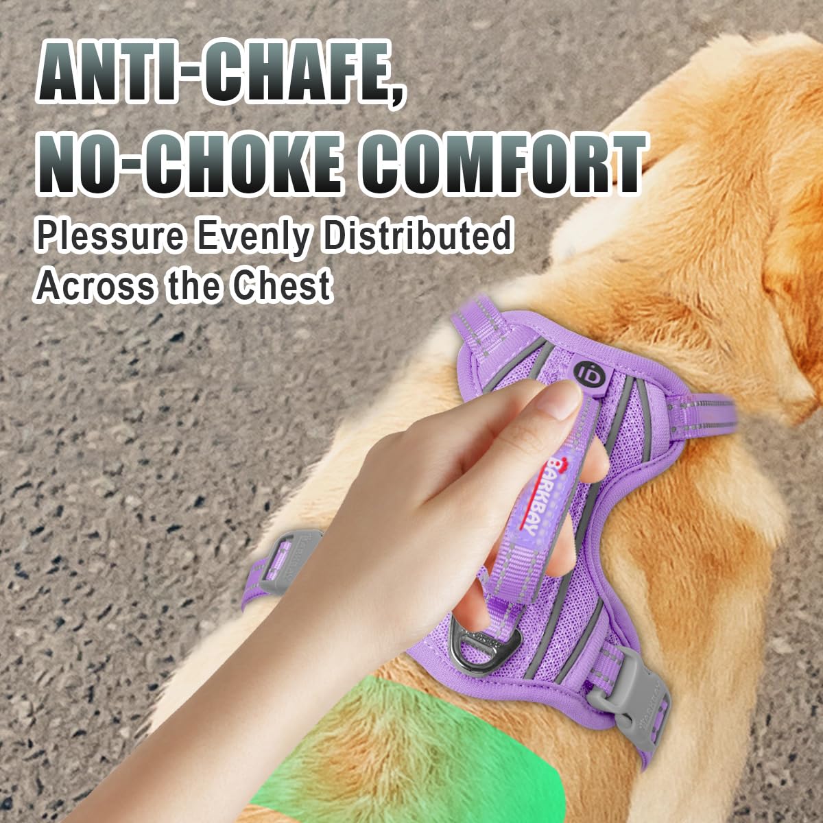 BARKBAY front halt ring supports gentle training while walking