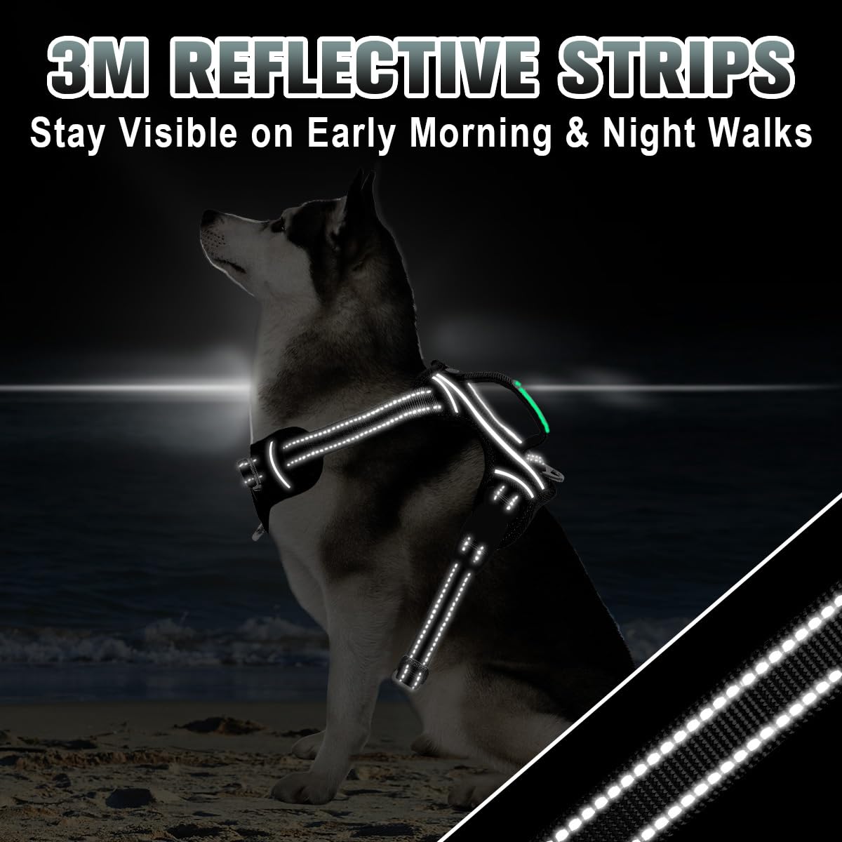 BARKBAY front halt ring helps reduce pulling during training.