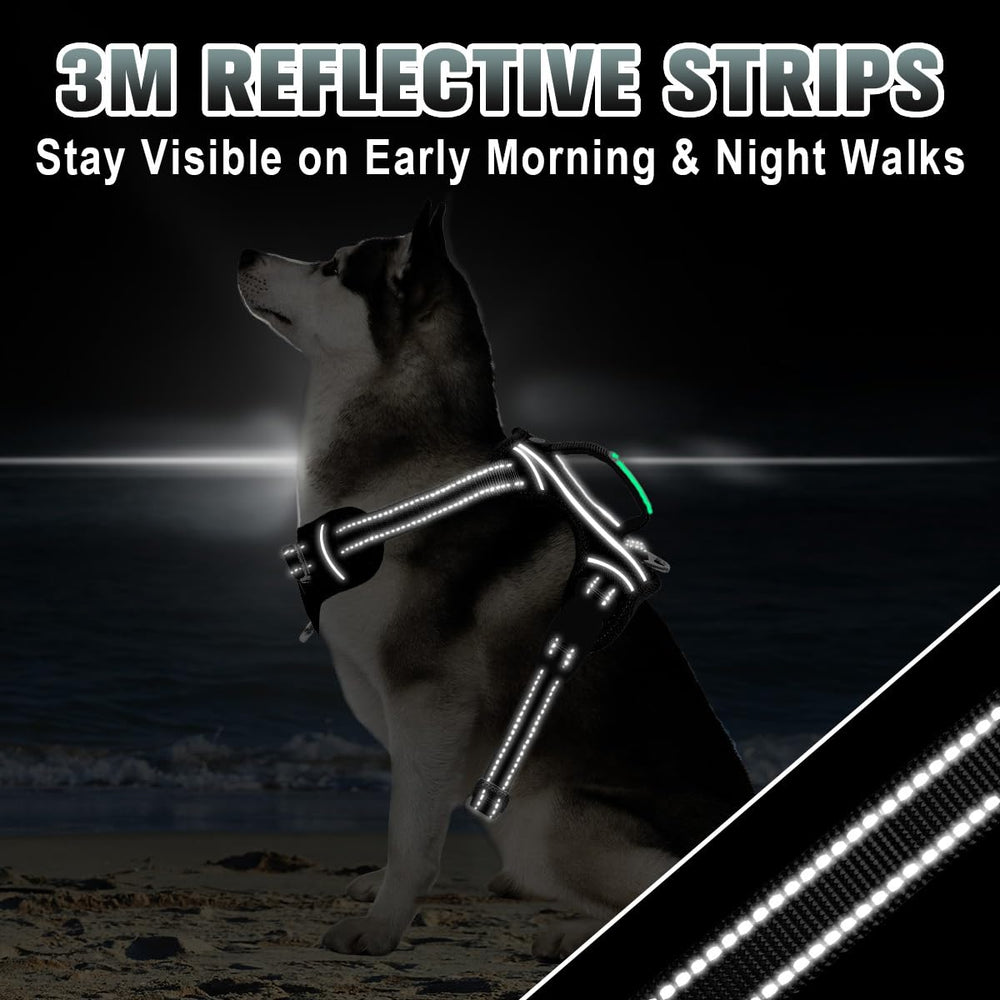 BARKBAY front halt ring helps reduce pulling during training.