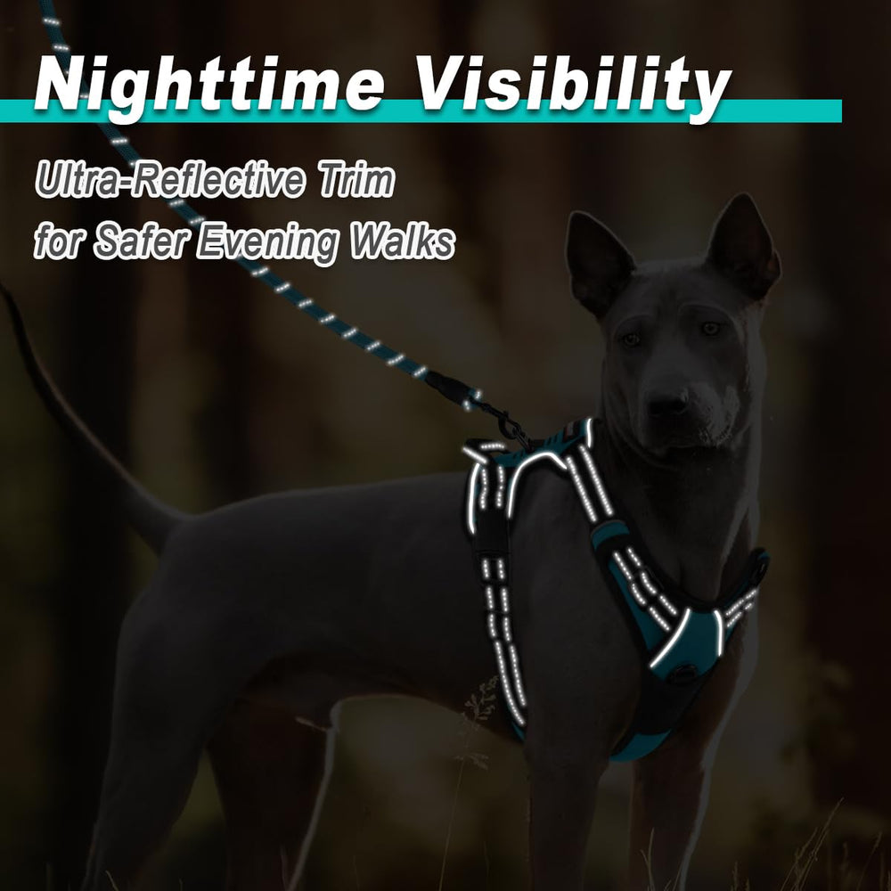BARKBAY front leash attachment enables gentle steering on walks.