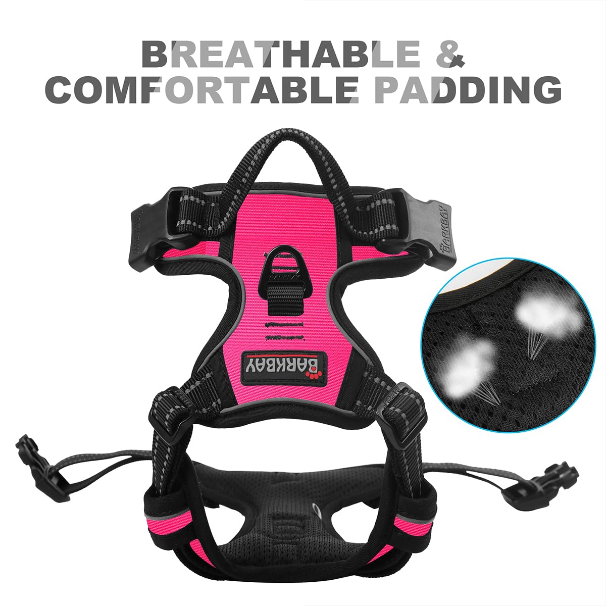 BARKBAY adjustable buckles allow near-custom fit for growing dogs.