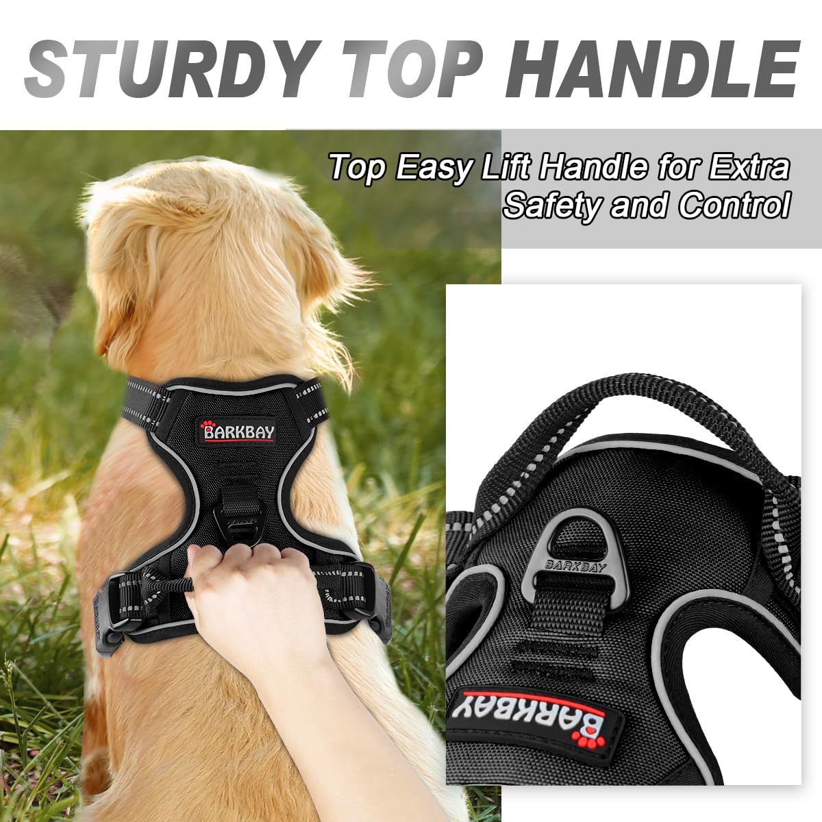 BARKBAY harness back attachment point shown on XL dog.