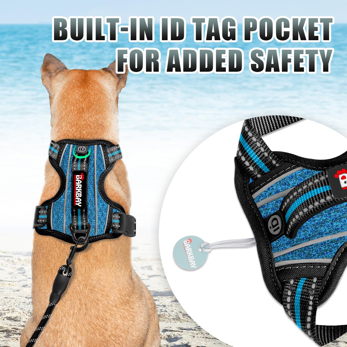 BARKBAY harness shown with back D-ring for casual strolls.