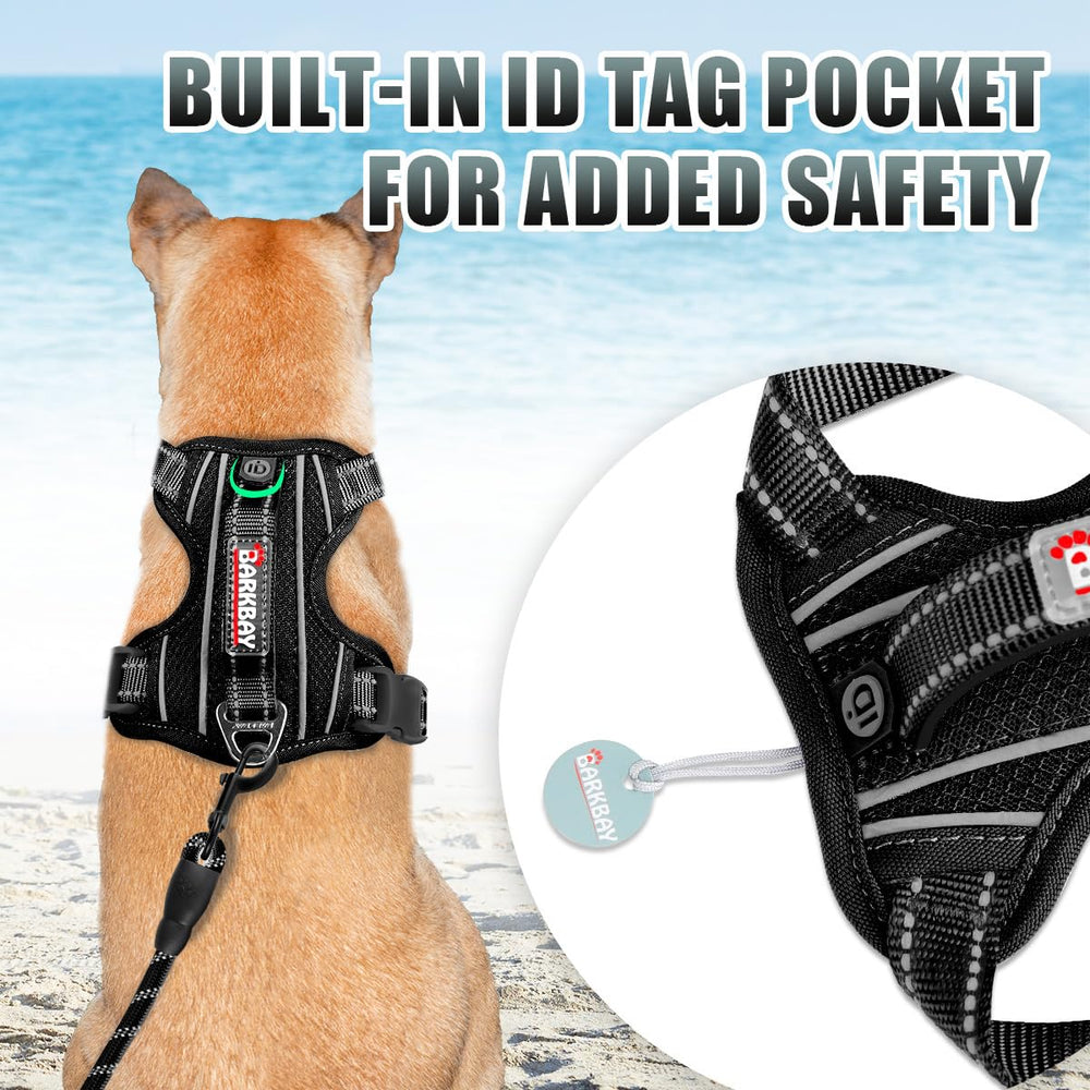 BARKBAY harness back D-ring shown for casual walks and control.