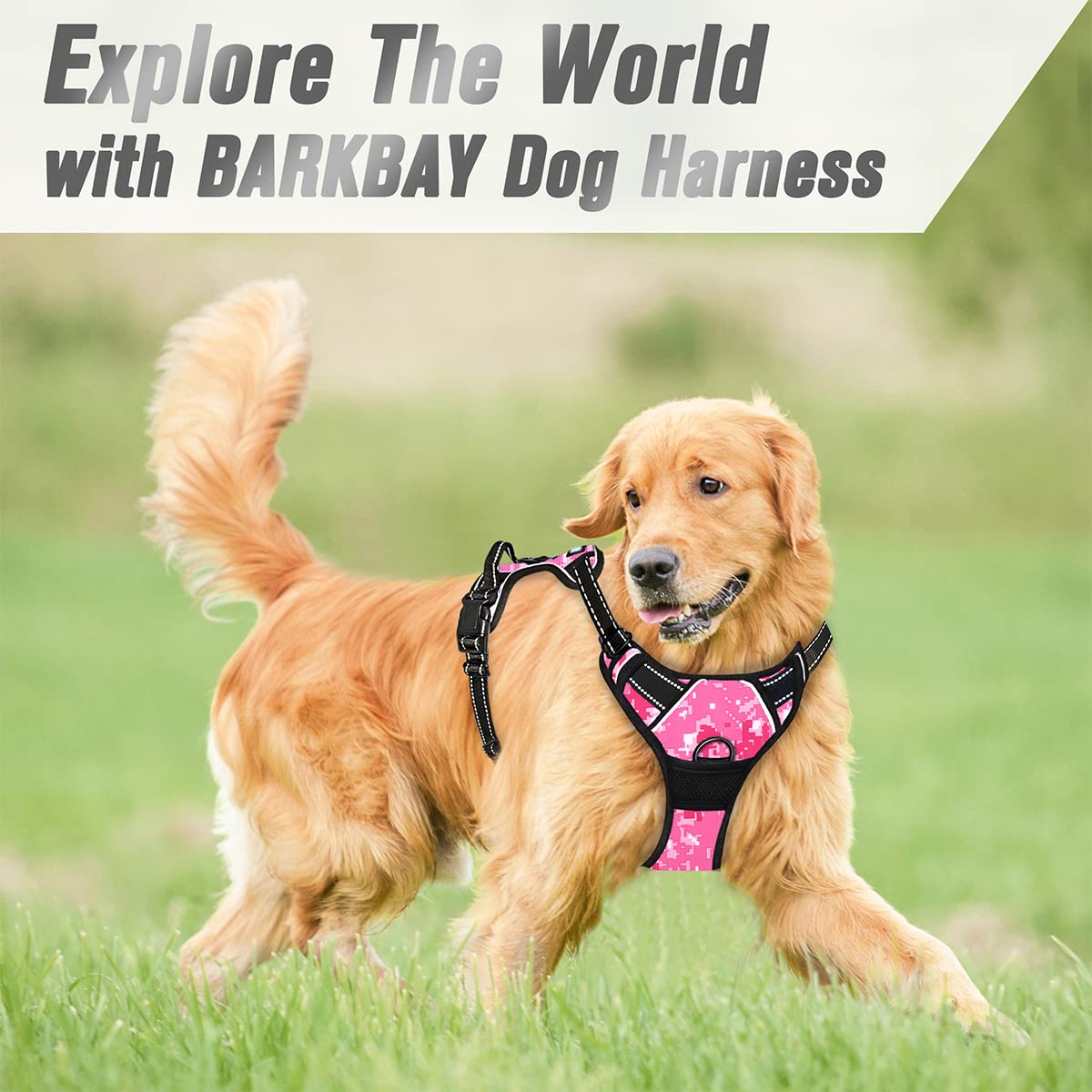 BARKBAY No Pull Harness easy on-off design speeds up setup
