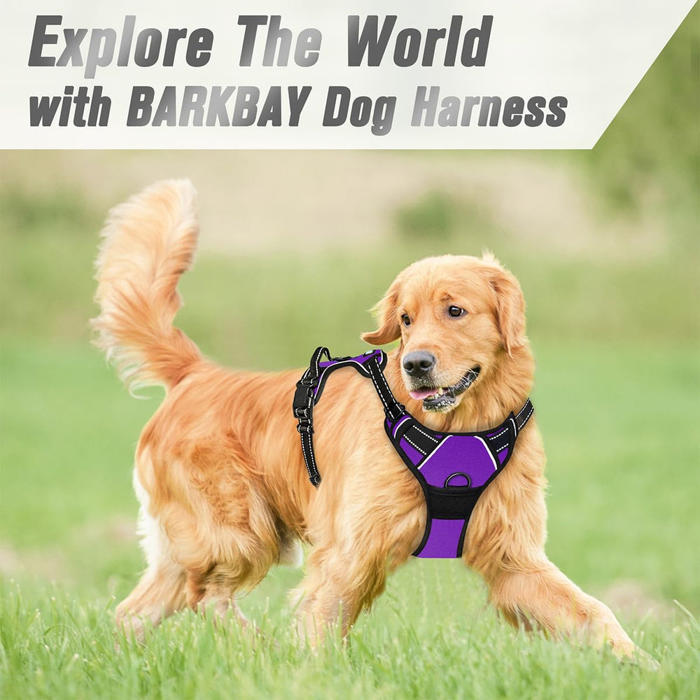 Lightweight, durable No Rip Nylon construction of BARKBAY harness