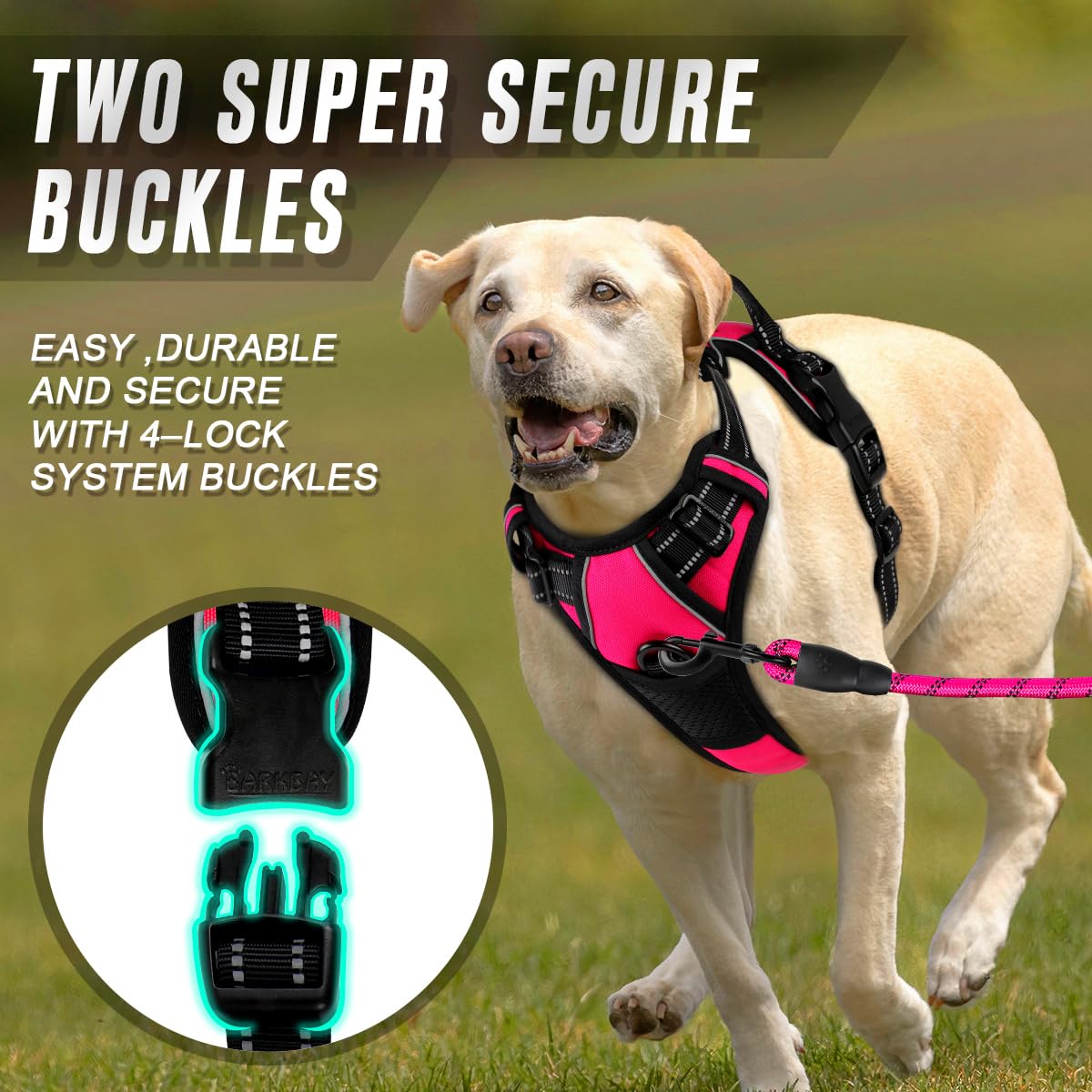BARKBAY harness with reflective strips improves night visibility.