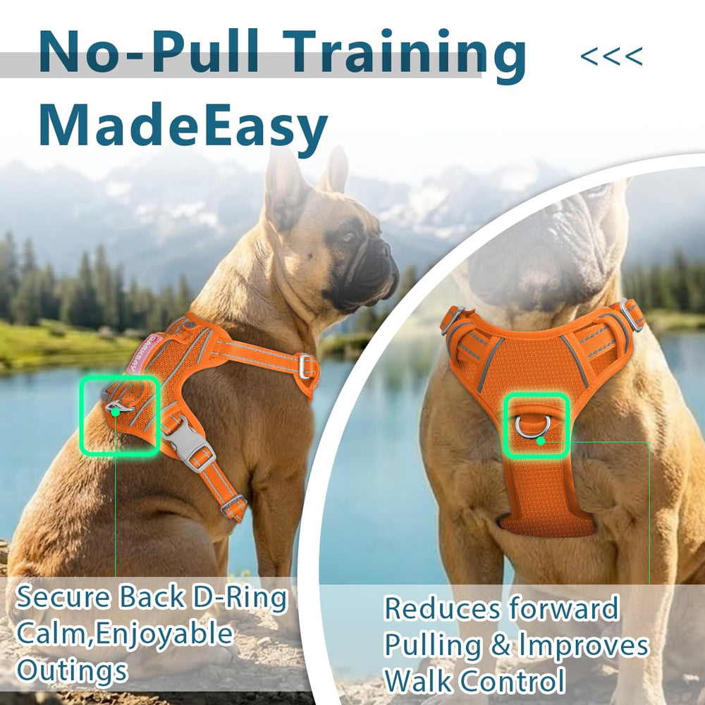 BARKBAY Reflective strips boost visibility during dawn or dusk walks.