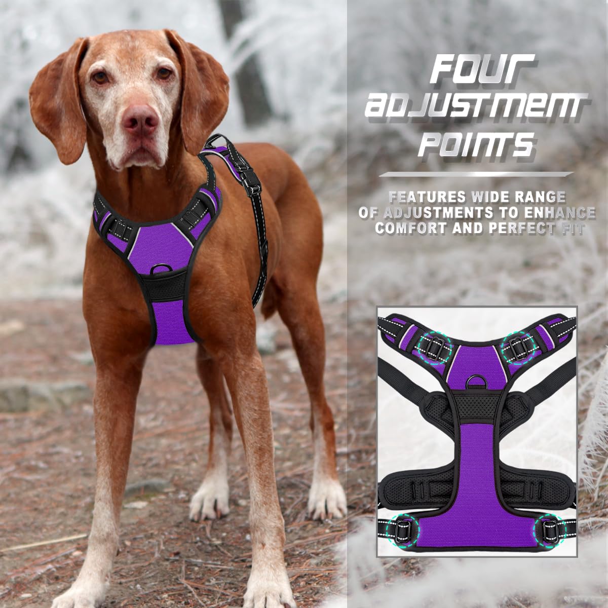 Soft anti-chafe padding on BARKBAY harness for comfortable wear