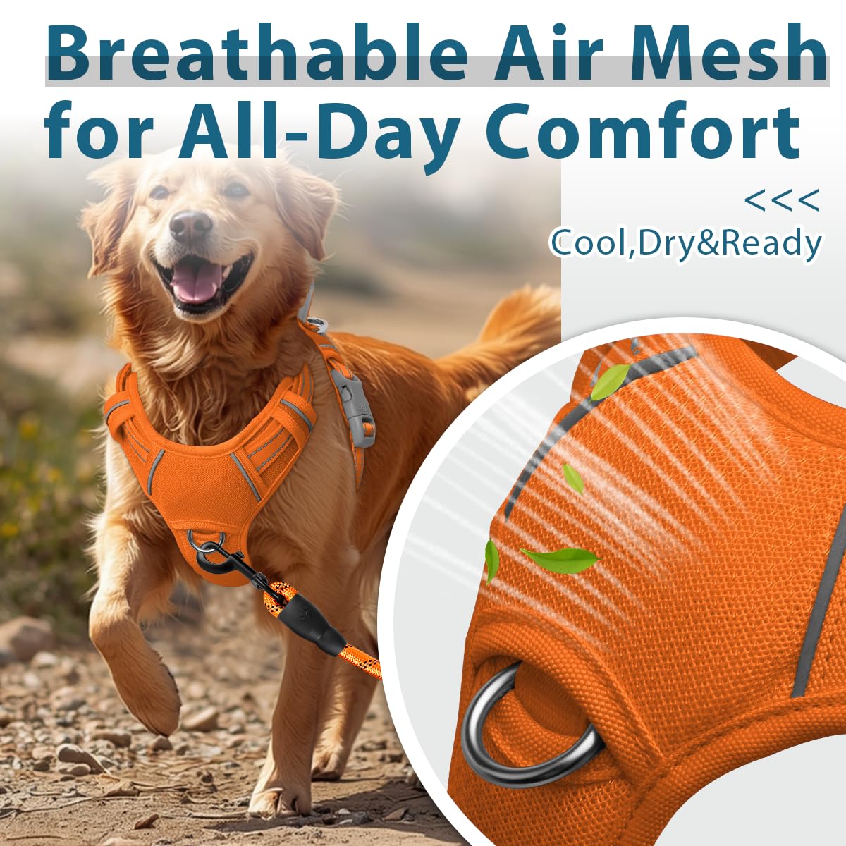 BARKBAY Top handle provides quick, secure control when needed.