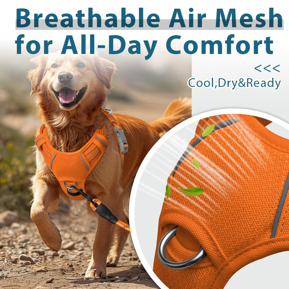BARKBAY Top handle provides quick, secure control when needed.