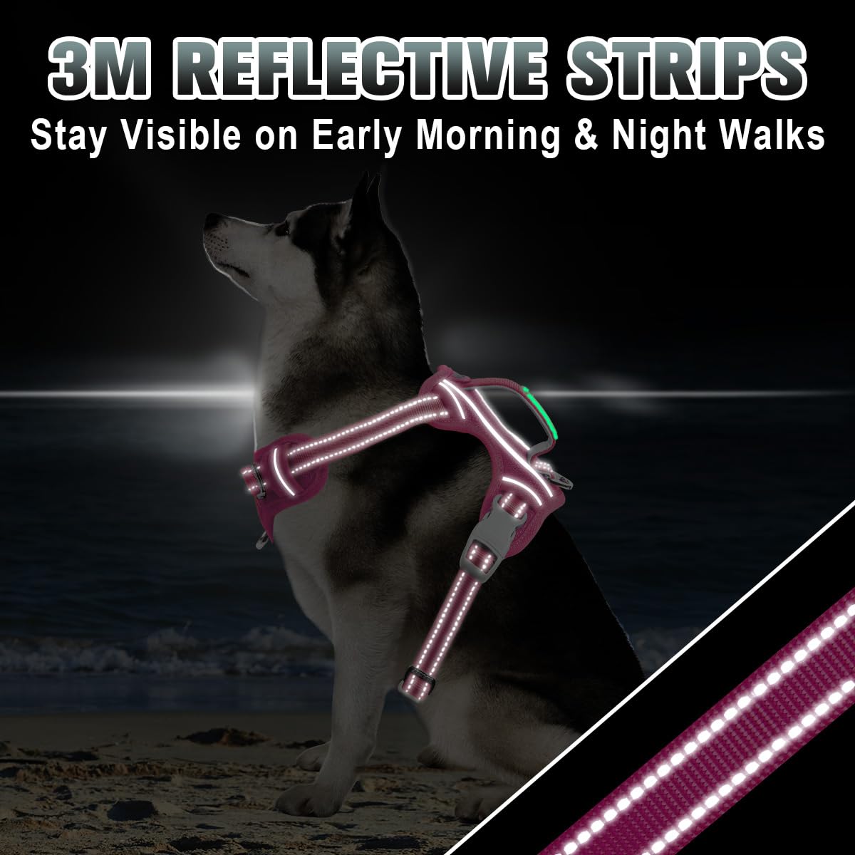 BARKBAY ID Pocket keeps essential information handy during outings.