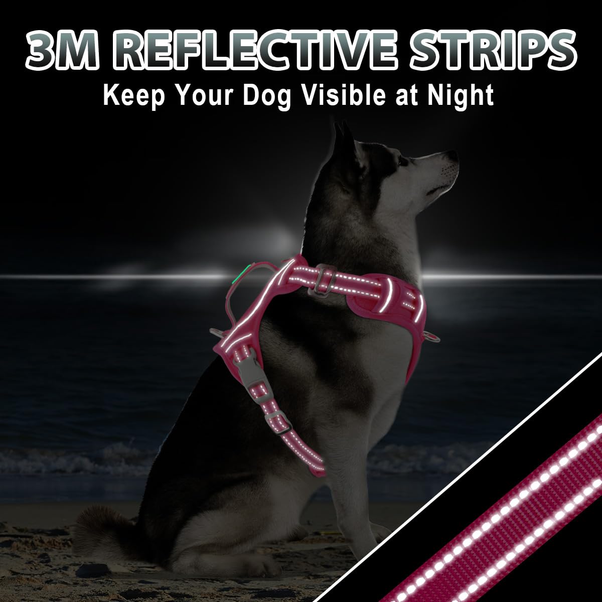 BARKBAY ID tag pocket keeps essential information accessible.
