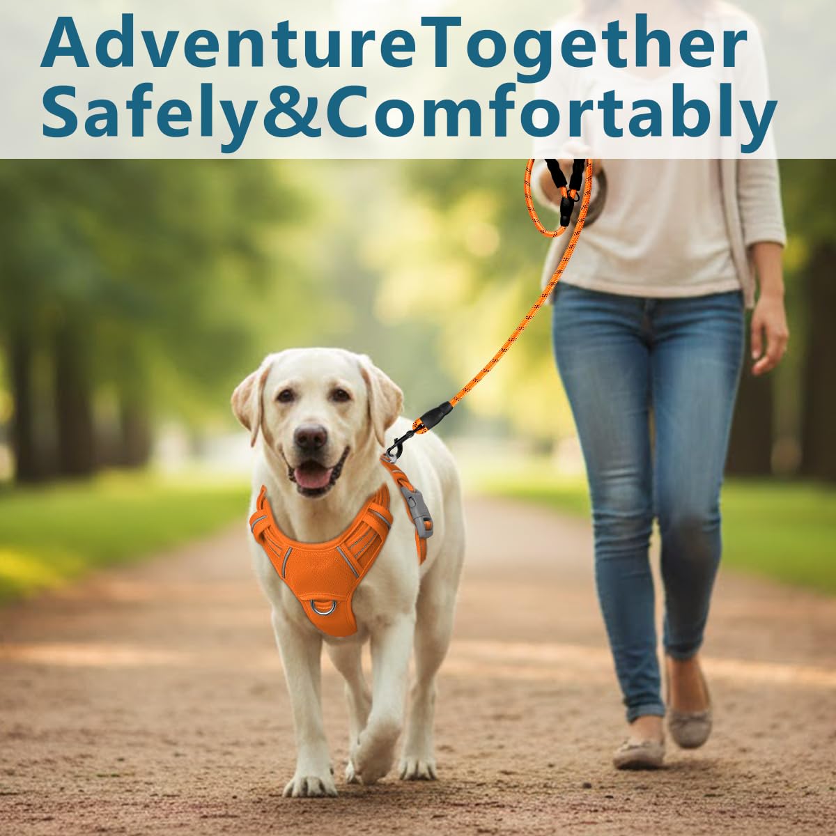 BARKBAY No Pull with ID Pocket combines control and safety during walks.