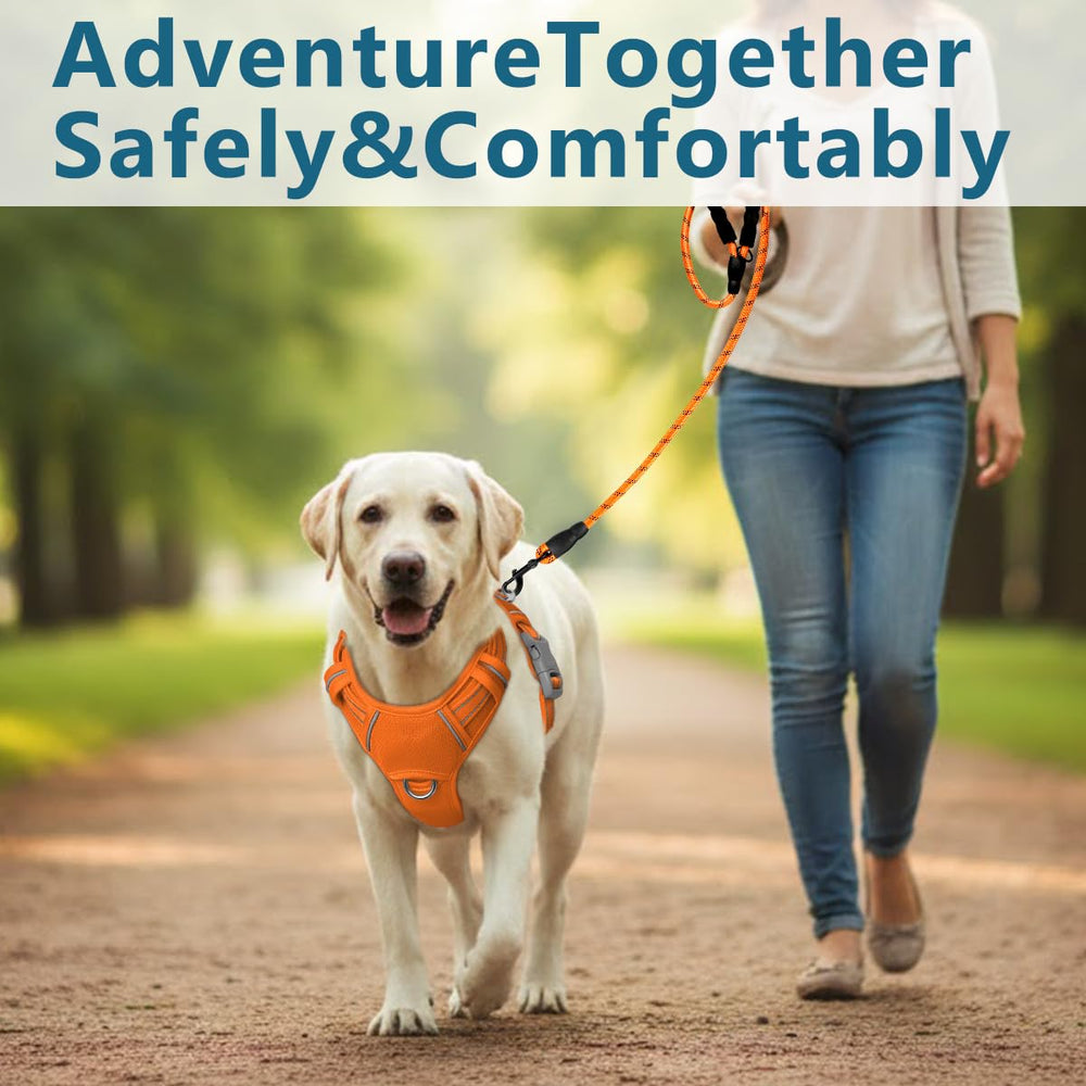 BARKBAY No Pull with ID Pocket combines control and safety during walks.