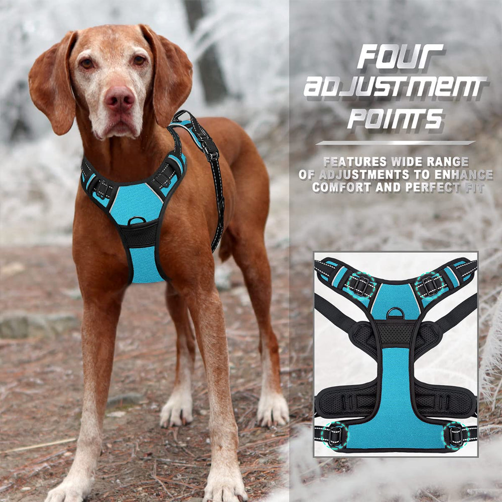 BARKBAY lightweight No Rip Nylon fabric for durable wear