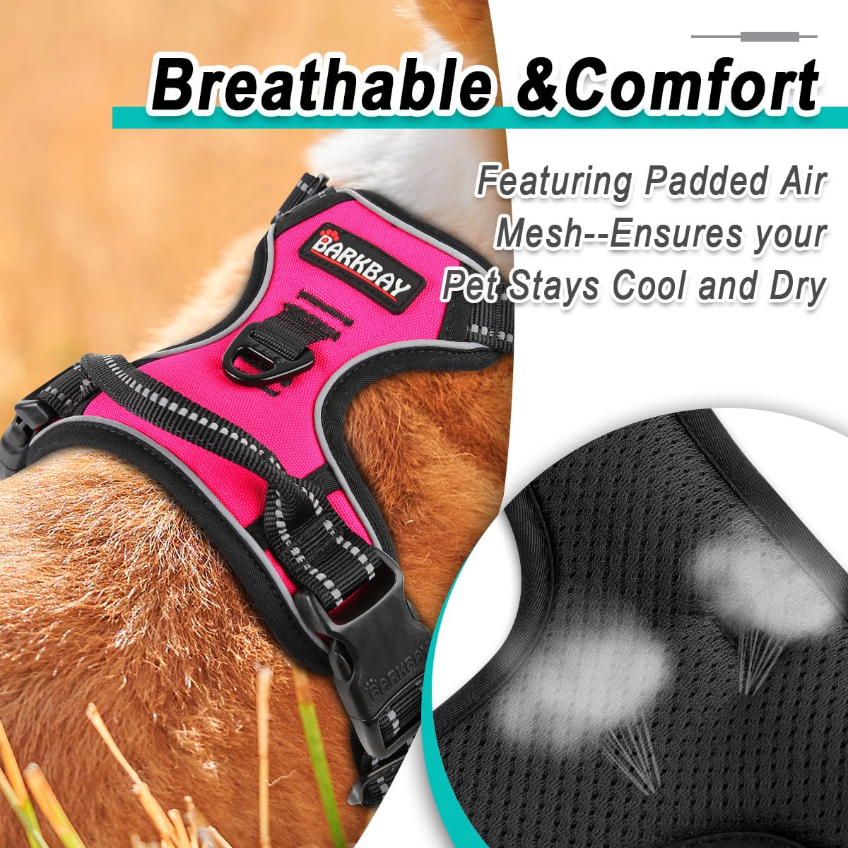 BARKBAY Night-ready visibility supports safe evening walks