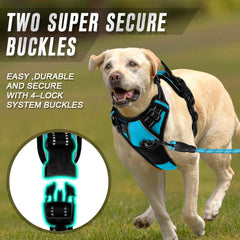 BARKBAY No Pull Harness anti-chafe padding protects against rubbing during long outings