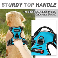 BARKBAY No Pull Harness chest attachment enables smoother steering in crowds