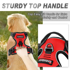 BARKBAY chest attachment directs gentle steering during busy walks.