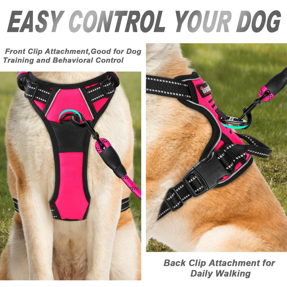 BARKBAY No Pull Harness back attachment points for versatile leash setup.