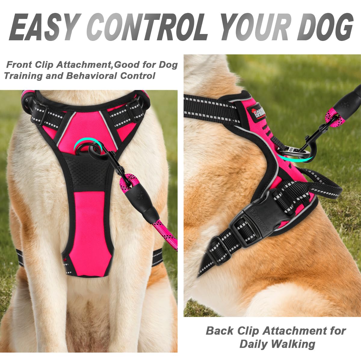 BARKBAY No Pull Harness back attachment shown for secure leash options.