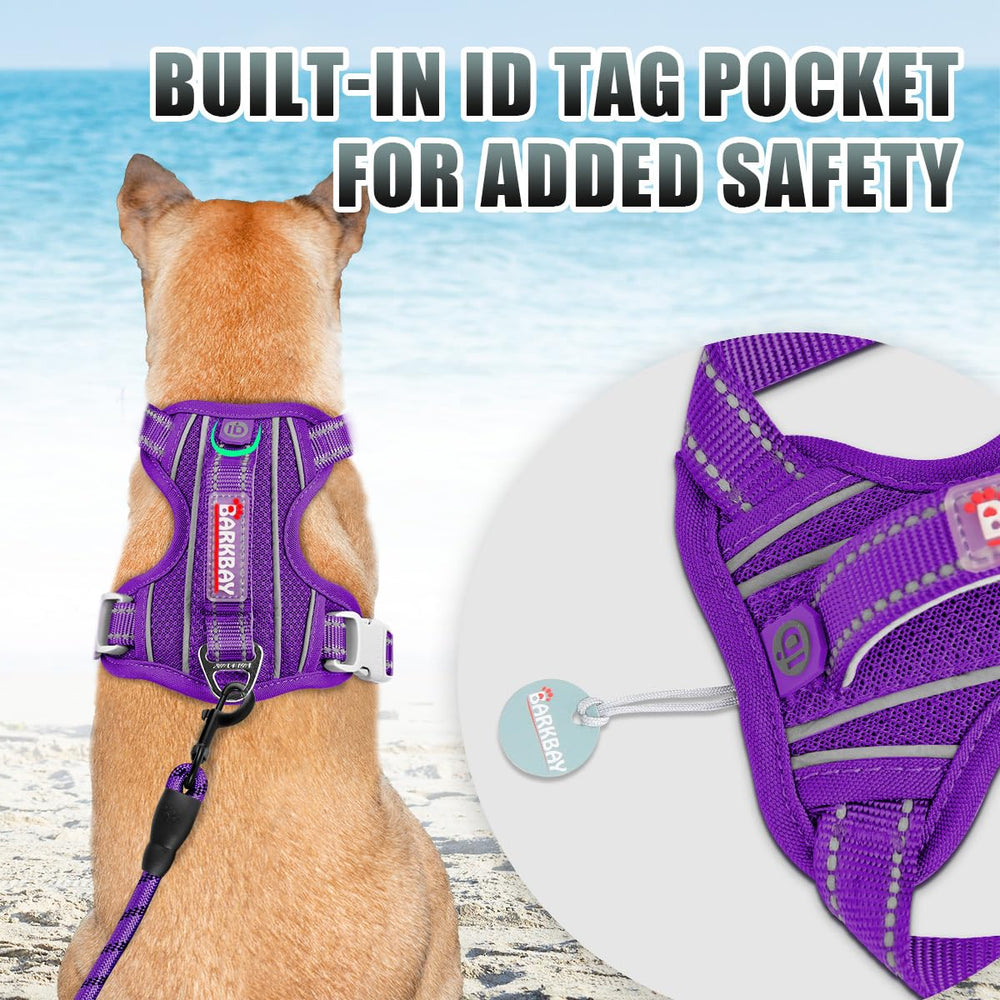 BARKBAY No-Pull Harness with back D-ring for casual strolls.