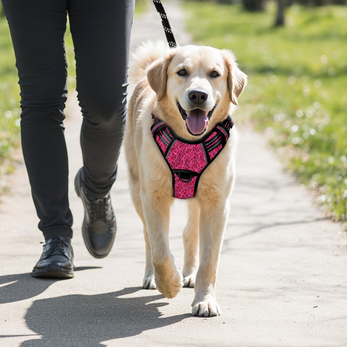 BARKBAY harness back D-ring for casual leash walks