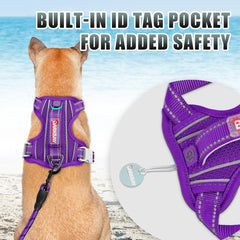 BARKBAY No-Pull Harness with back D-ring for casual strolls.