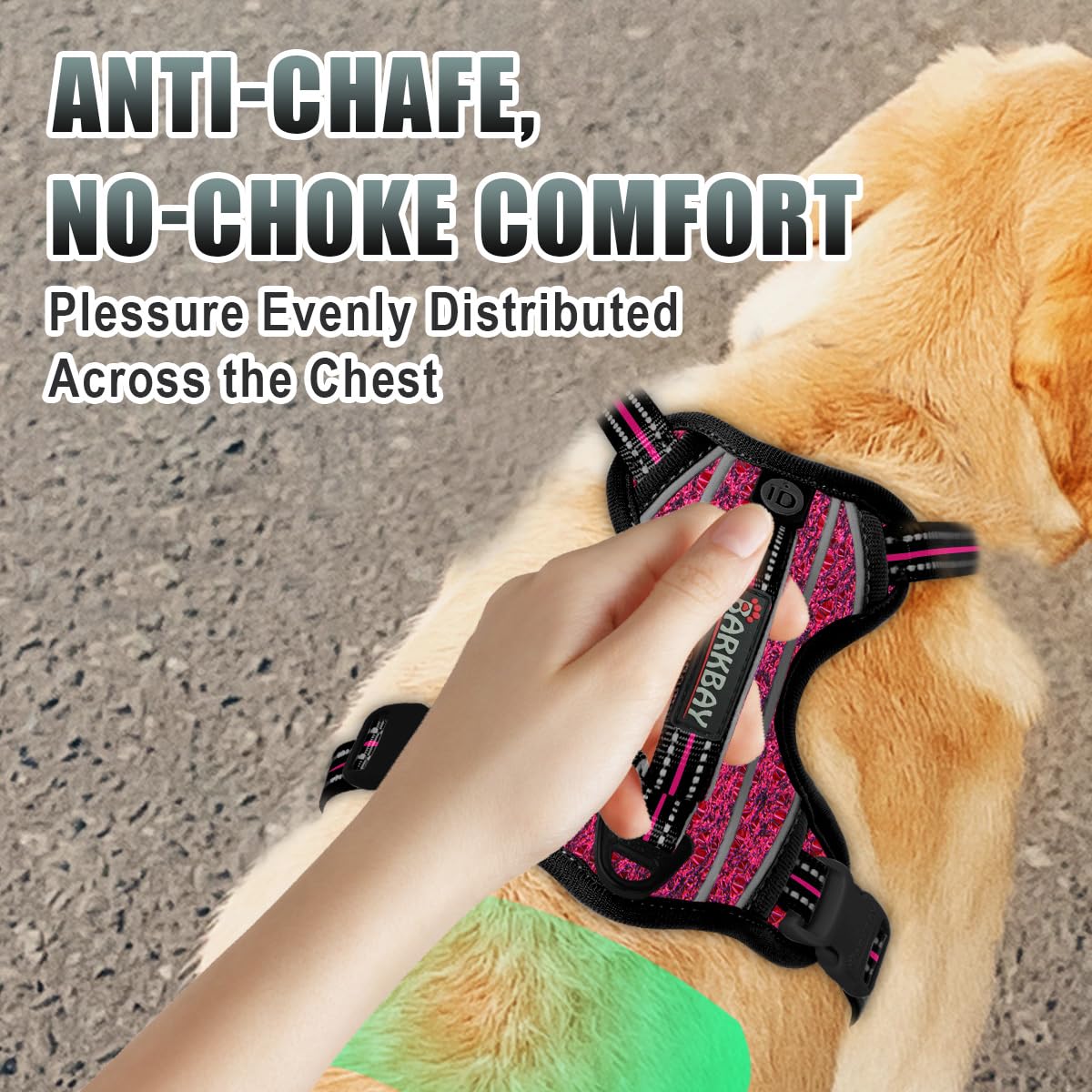 BARKBAY harness breathable air mesh keeps dogs cool during workouts