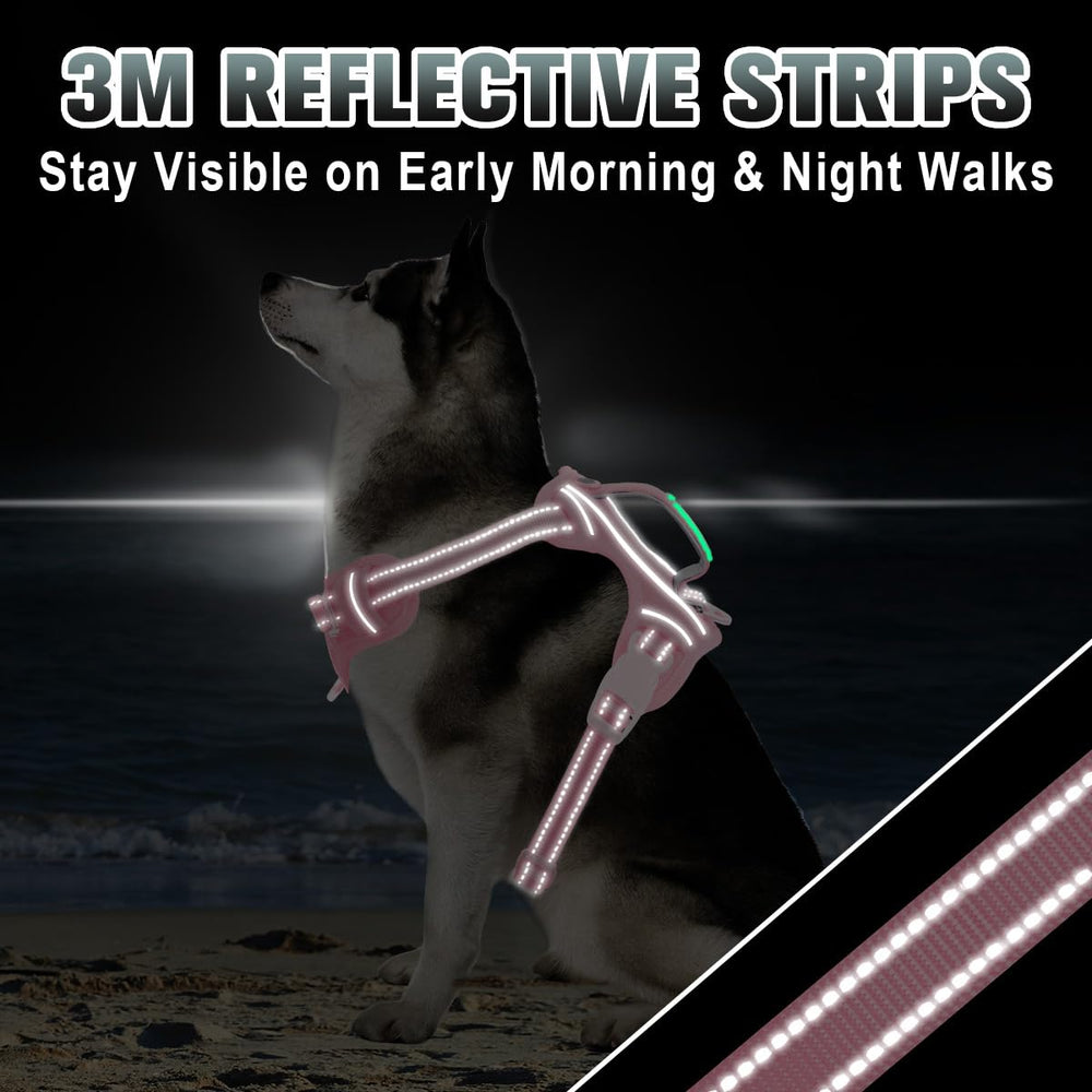 BARKBAY breathable air mesh keeps dogs cool on hot days.