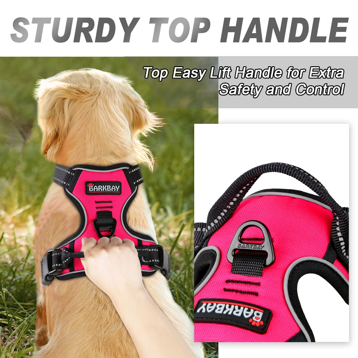 BARKBAY No Pull Harness chest attachment aids front-guided control.