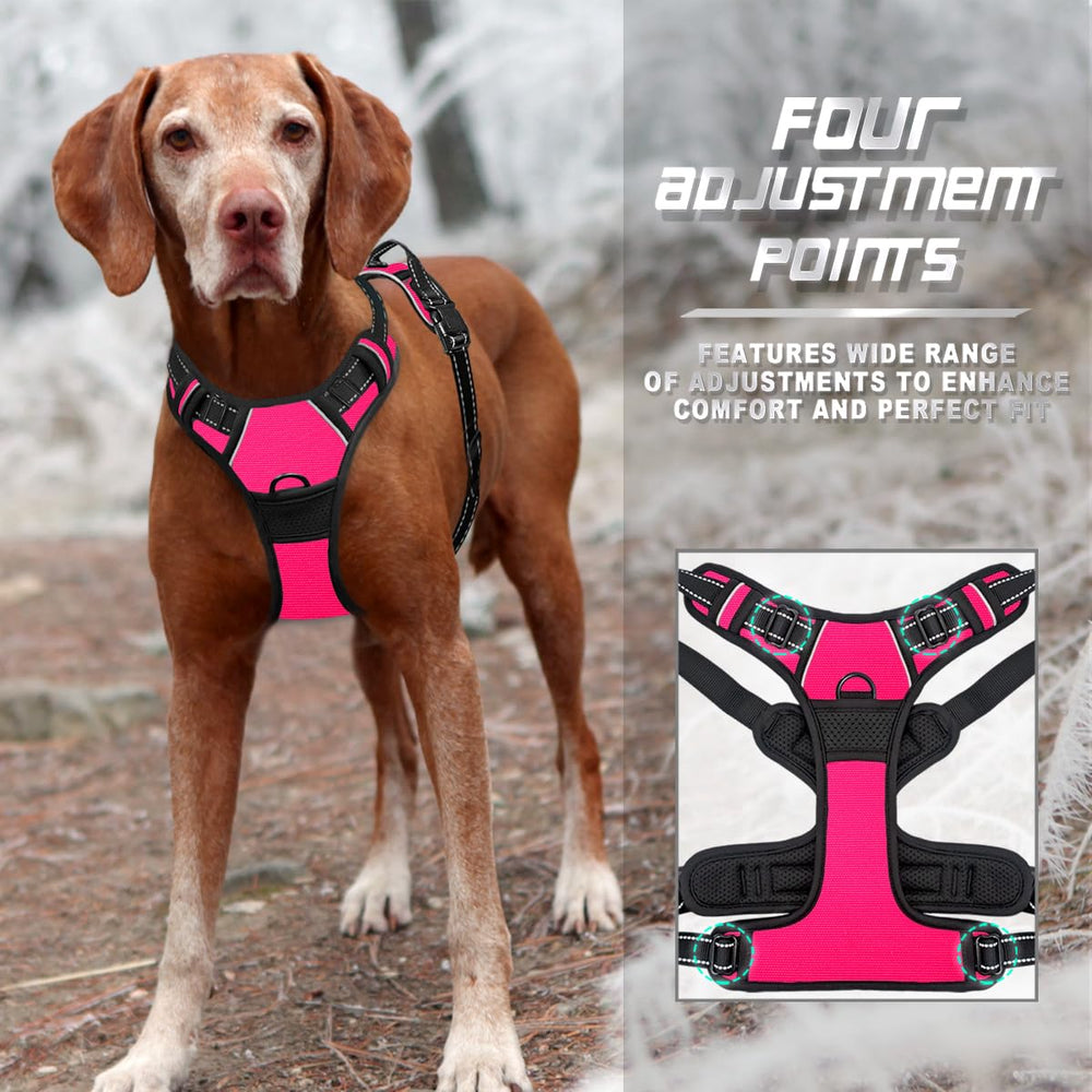 BARKBAY durable nylon construction built for daily adventures.
