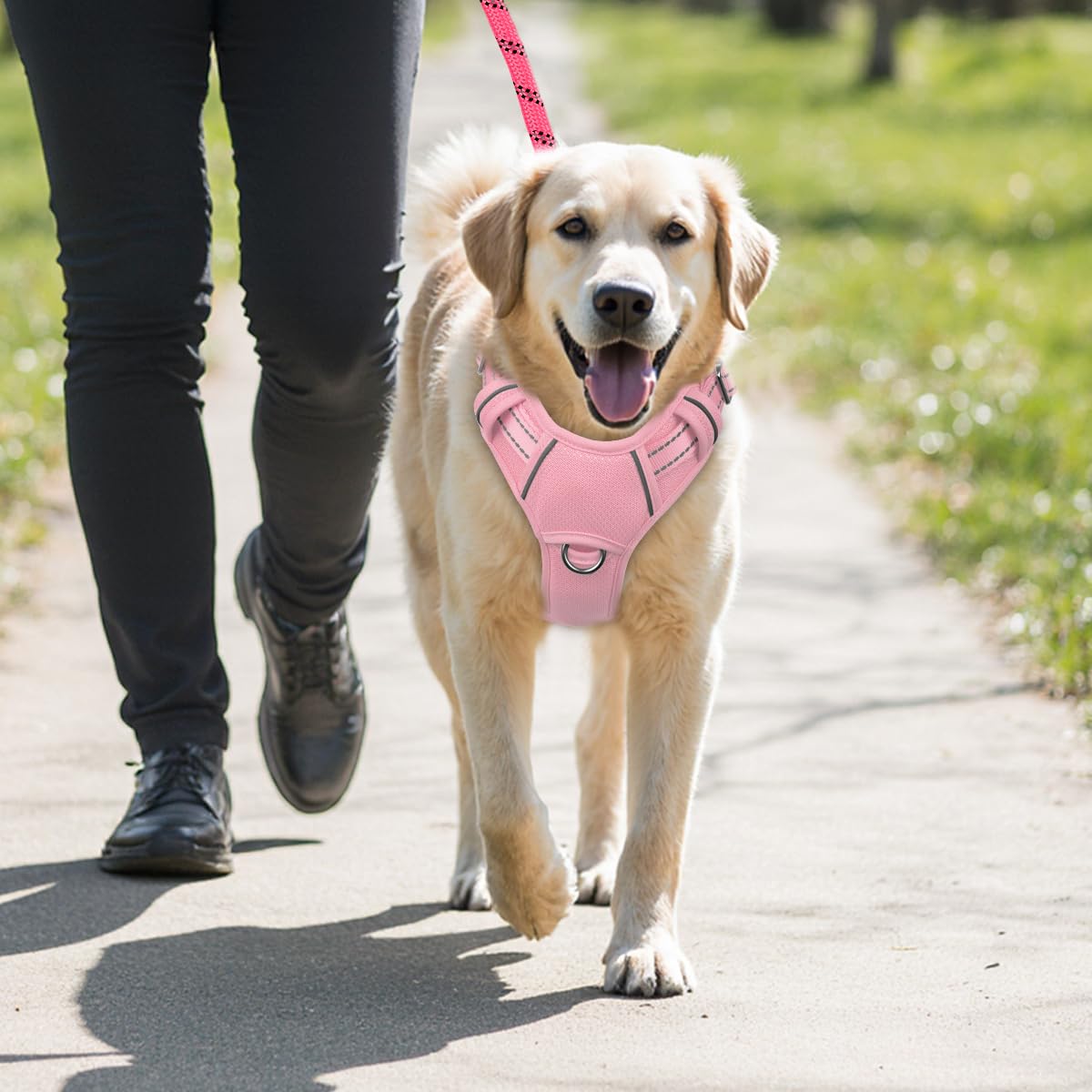 BARKBAY easy-on-off design in a large size for convenience