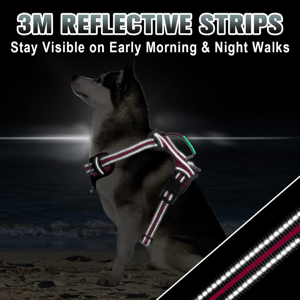 BARKBAY harness easy on-off design for quick wear