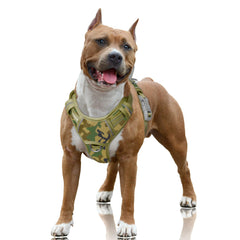 BARKBAY No Pull Harness with front clip in camo improves walk control.