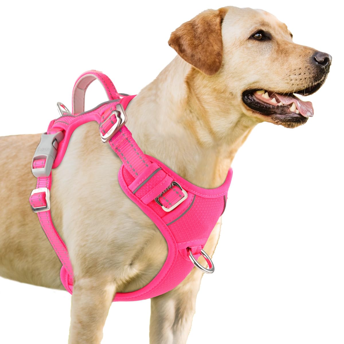 BARKBAY No Pull Harness front clip guides dogs during walks for better control.