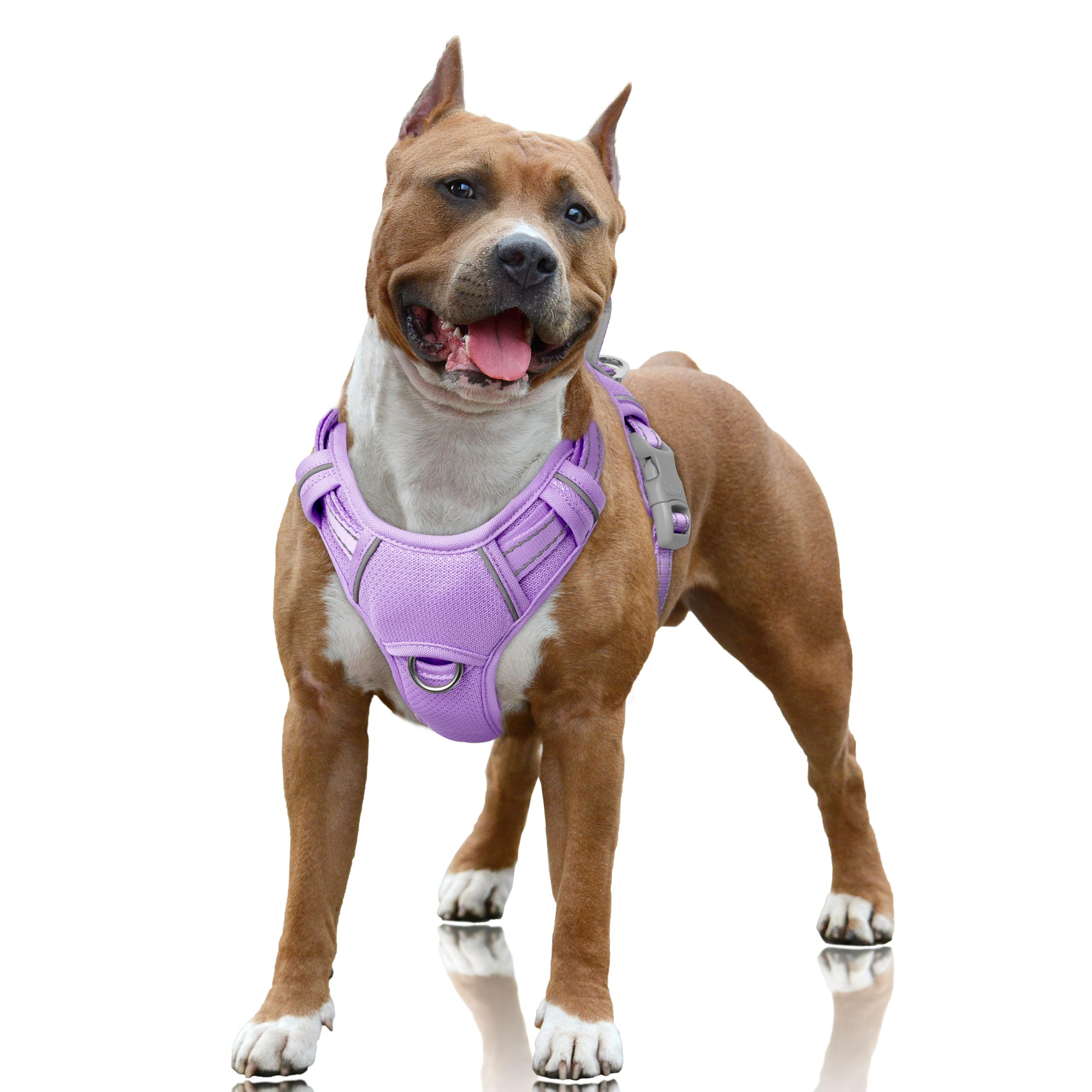 BARKBAY No Pull Harness with front clip in violet for smoother training walks