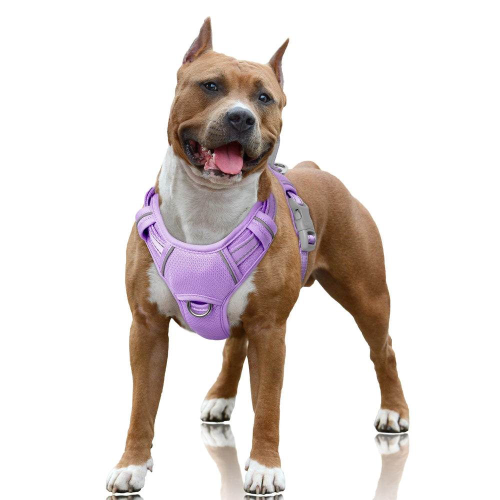 BARKBAY No Pull Harness with front clip in violet for smoother training walks