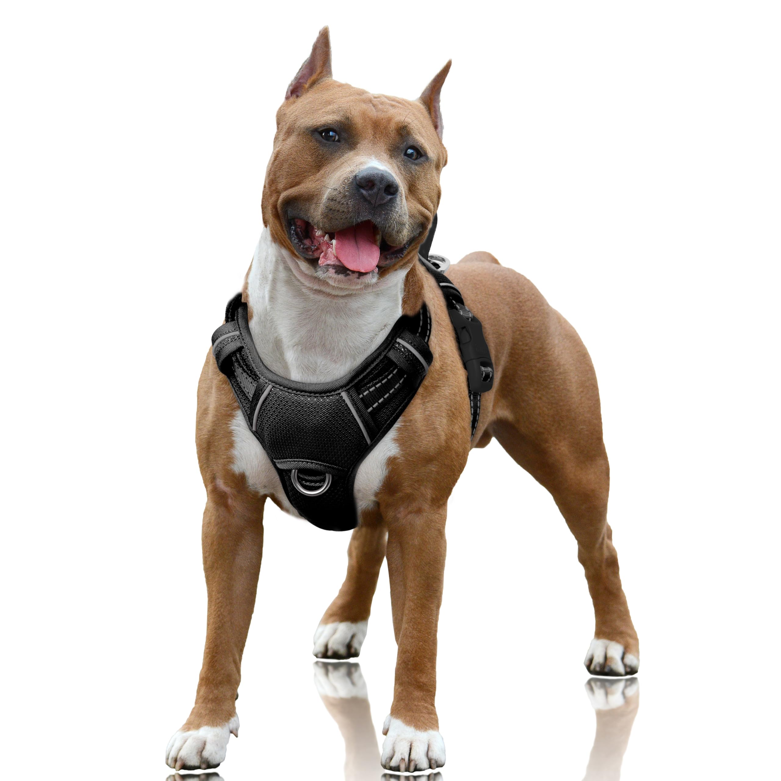 BARKBAY No Pull Harness with front clip for easier training and reduced pulling.