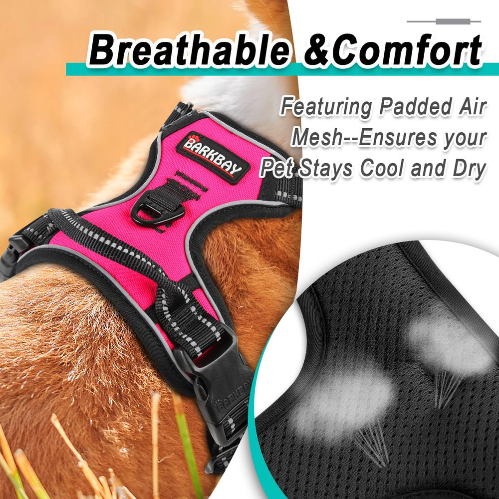 BARKBAY No-Pull Harness ideal for walking and hiking.